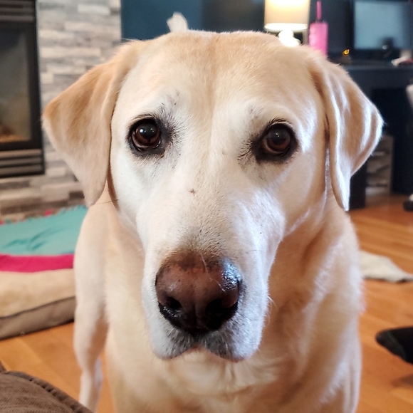 Meet your Posher, Kendra - Picture 1 of 1